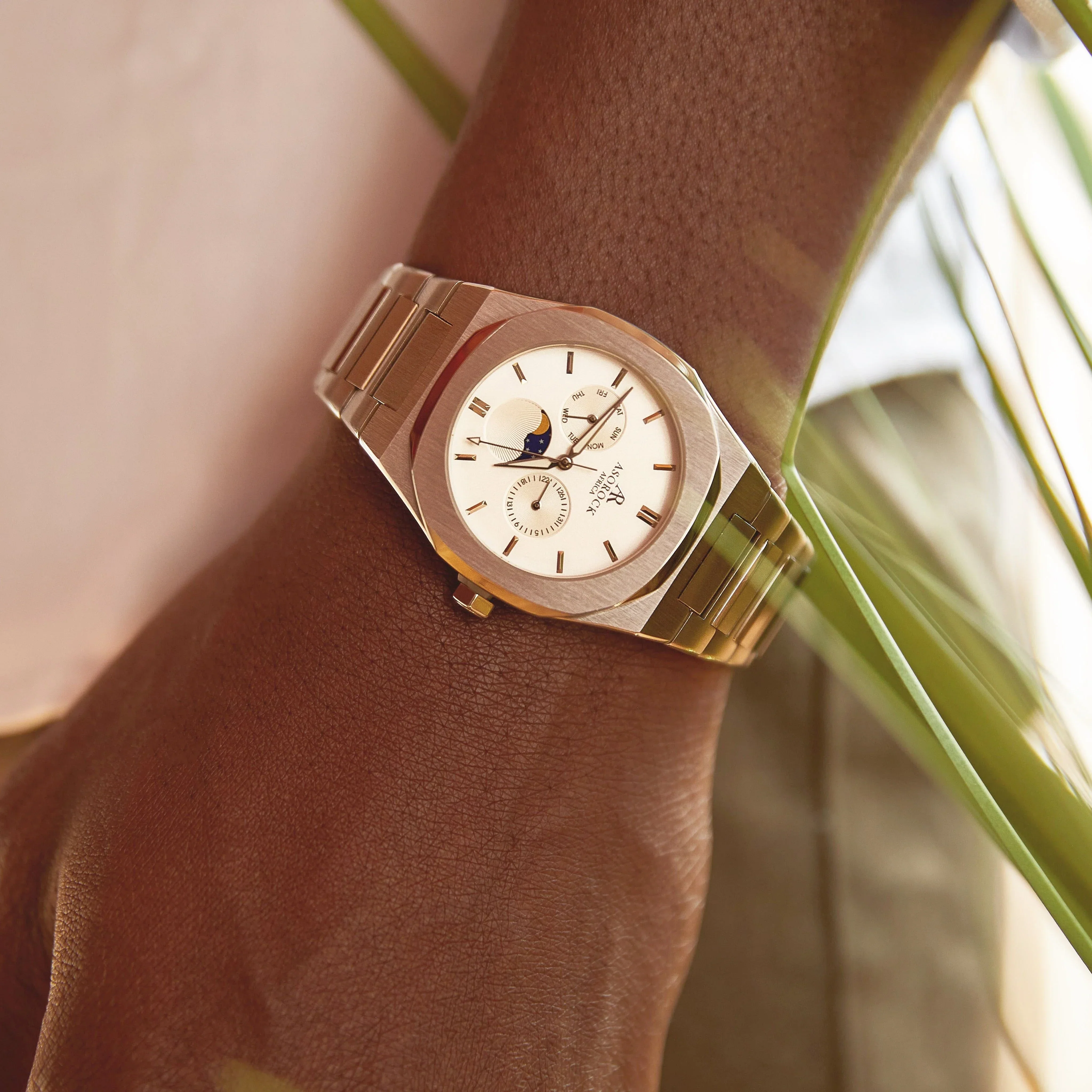 Silver/White Transporter - Image 4